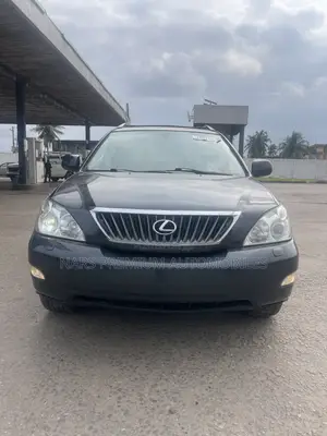 Lexus RX 350 2008 Gray