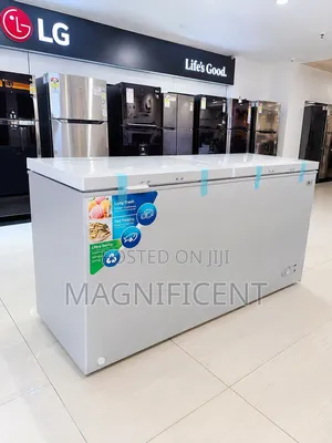 LG 720L Double Door Chest Freezer | Fast Freezing | Energy Saving
