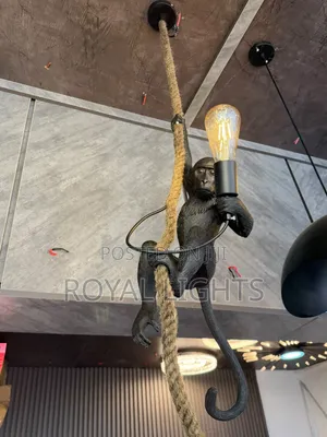 Monkey Dropping Light