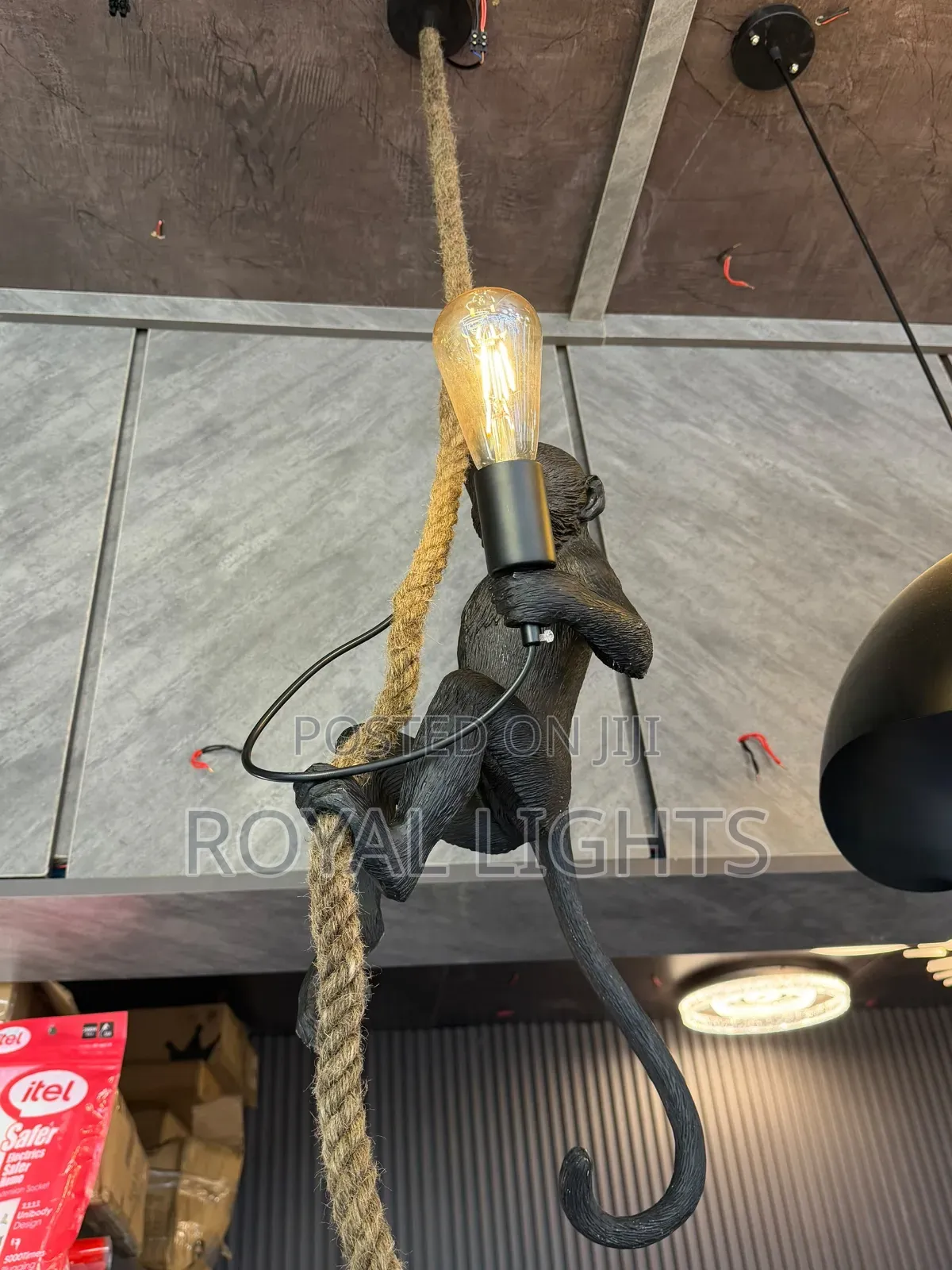 Monkey Dropping Light