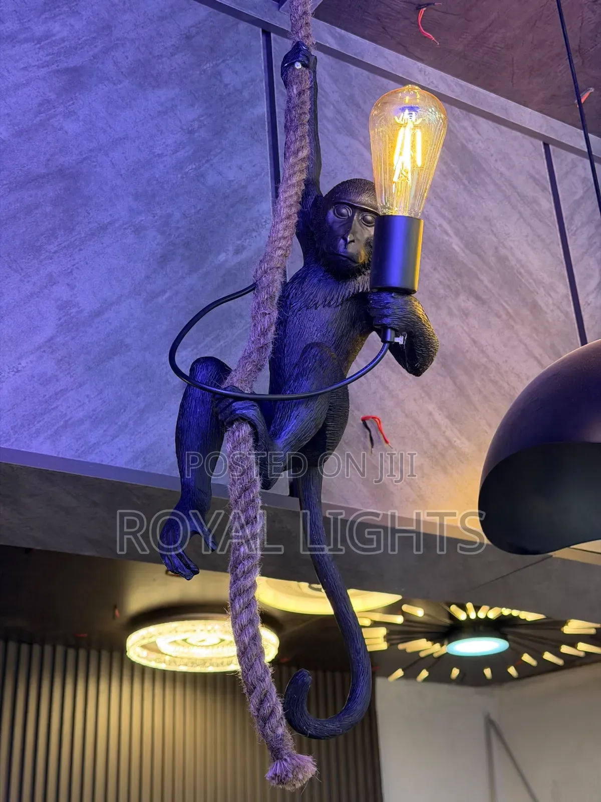 Monkey Dropping Light