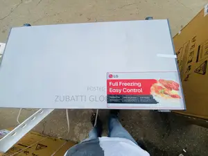 LG Chest Freezer 300L