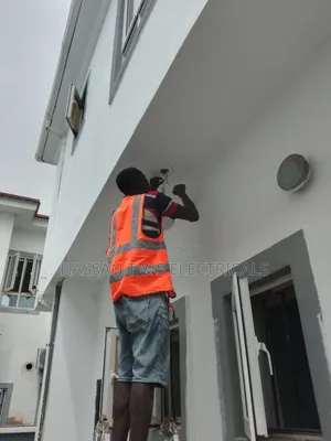 Professional Electrician