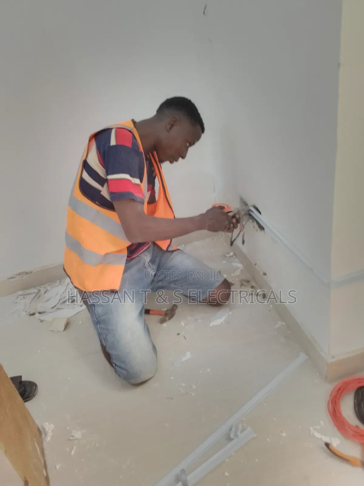 Professional Electrician