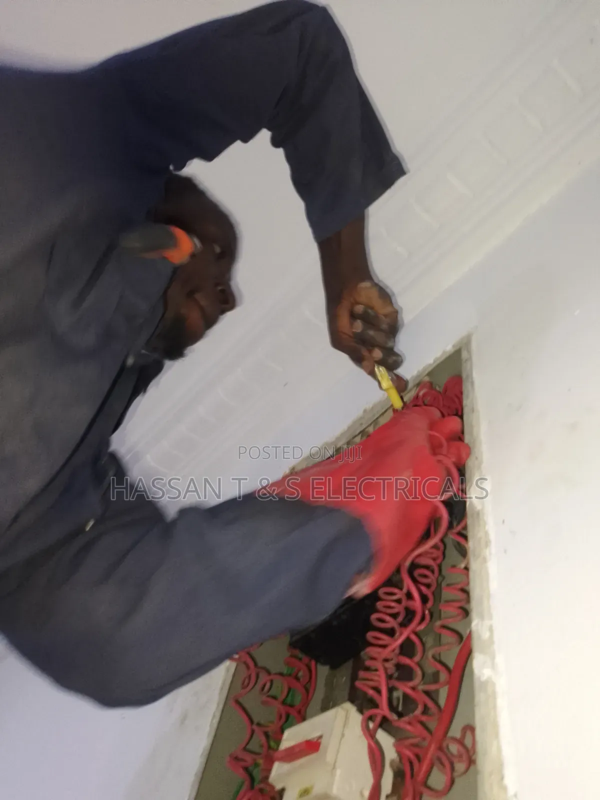 Professional Electrician