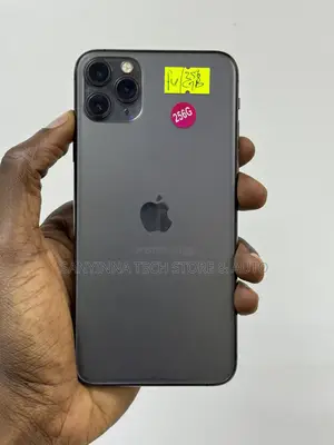 Apple iPhone 11 Pro Max 256 GB Gray