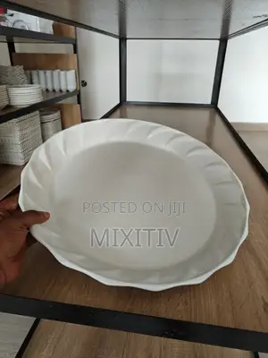 16" Large Porcelain Platter Plate