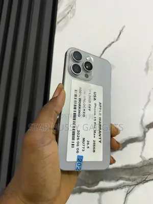 Apple iPhone 15 Pro Max 256 GB Silver