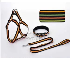 Nylon Harness, Collar N Elastic Lead 2.5cm (L)