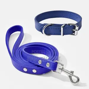 Padded Handle Neoprene Lead and Collar 2.0*120cm