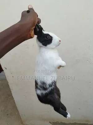 Quality Pets