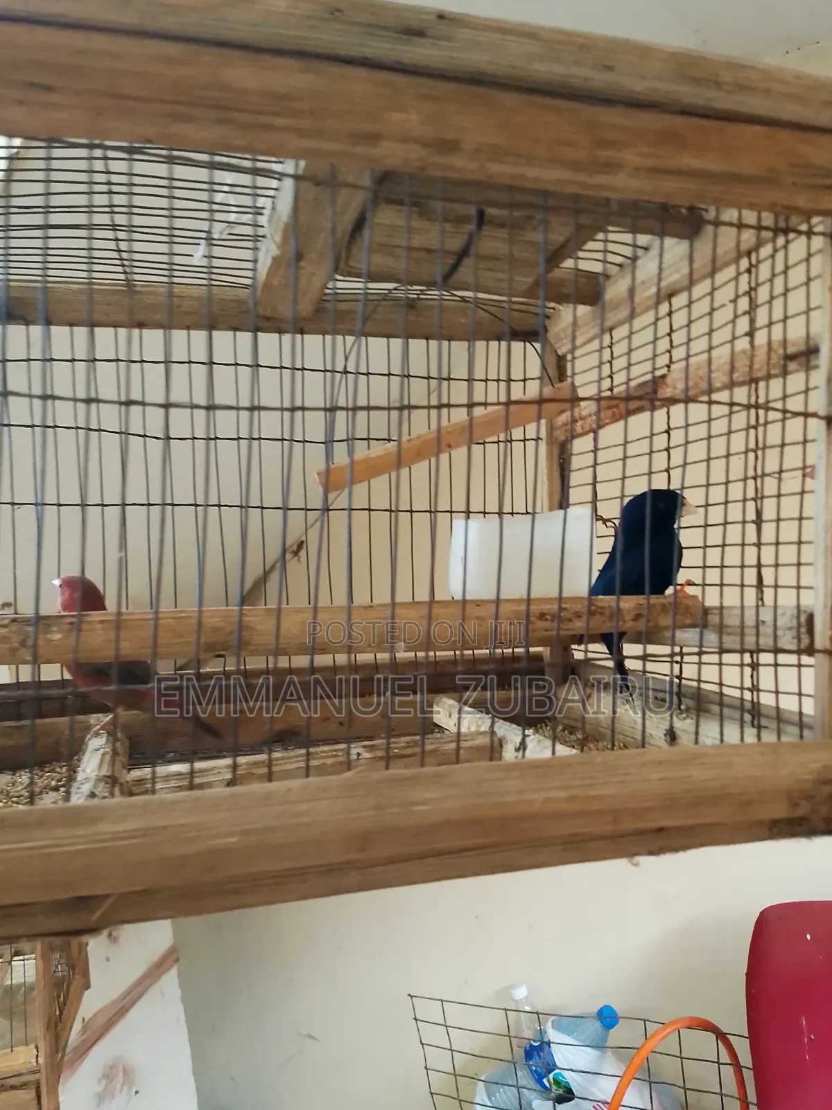 Quality Pets