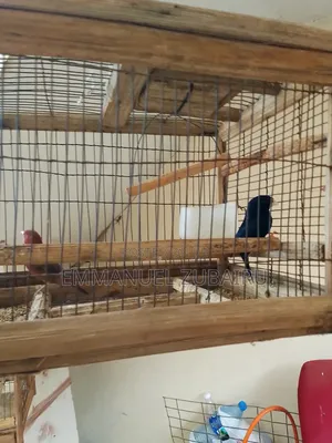 Quality Pets