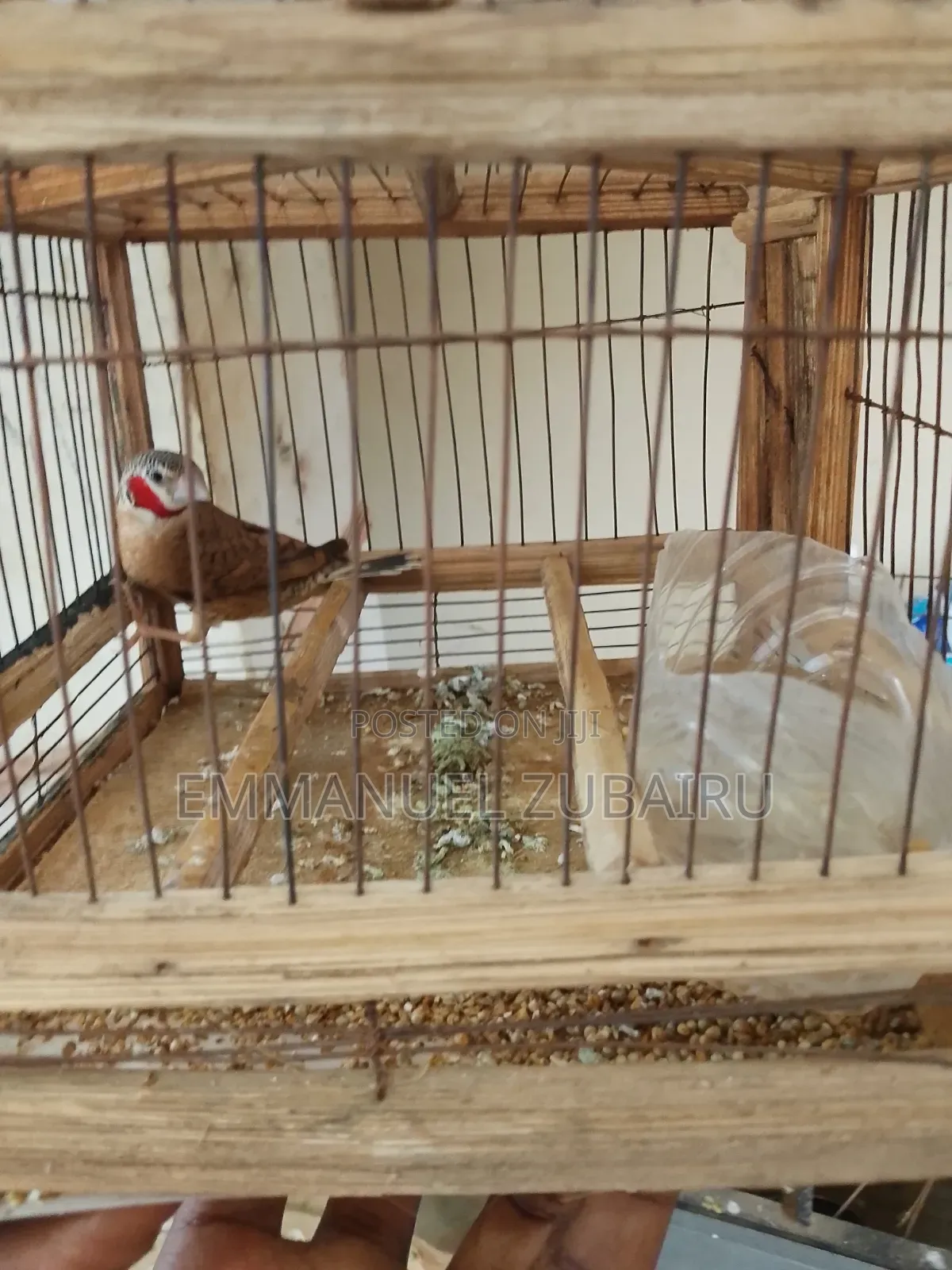 Quality Pets