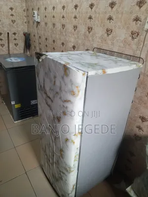 Fairly Used Fridge