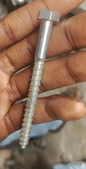Lag Bolt/Lag Screws Ss ( Various Sizes Available