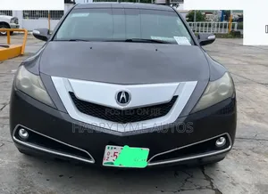 Acura ZDX Base AWD 2010 Gray