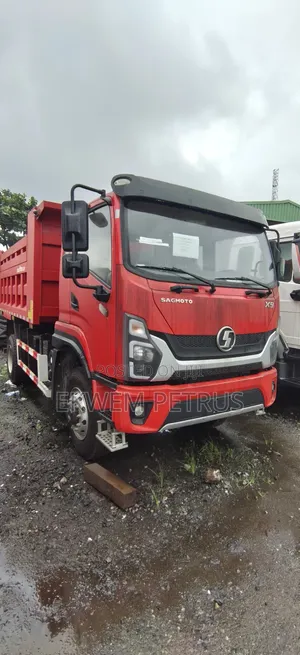 Brand New X9 Sagmoto 4x4 Dump Chinese Dump Truck
