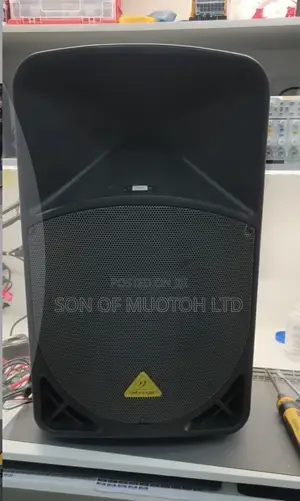 Behringer Eurolive B115D Active 2-Way 15" PA Speaker System