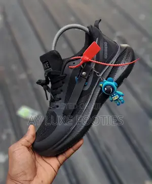 Zoom Nike Canvas