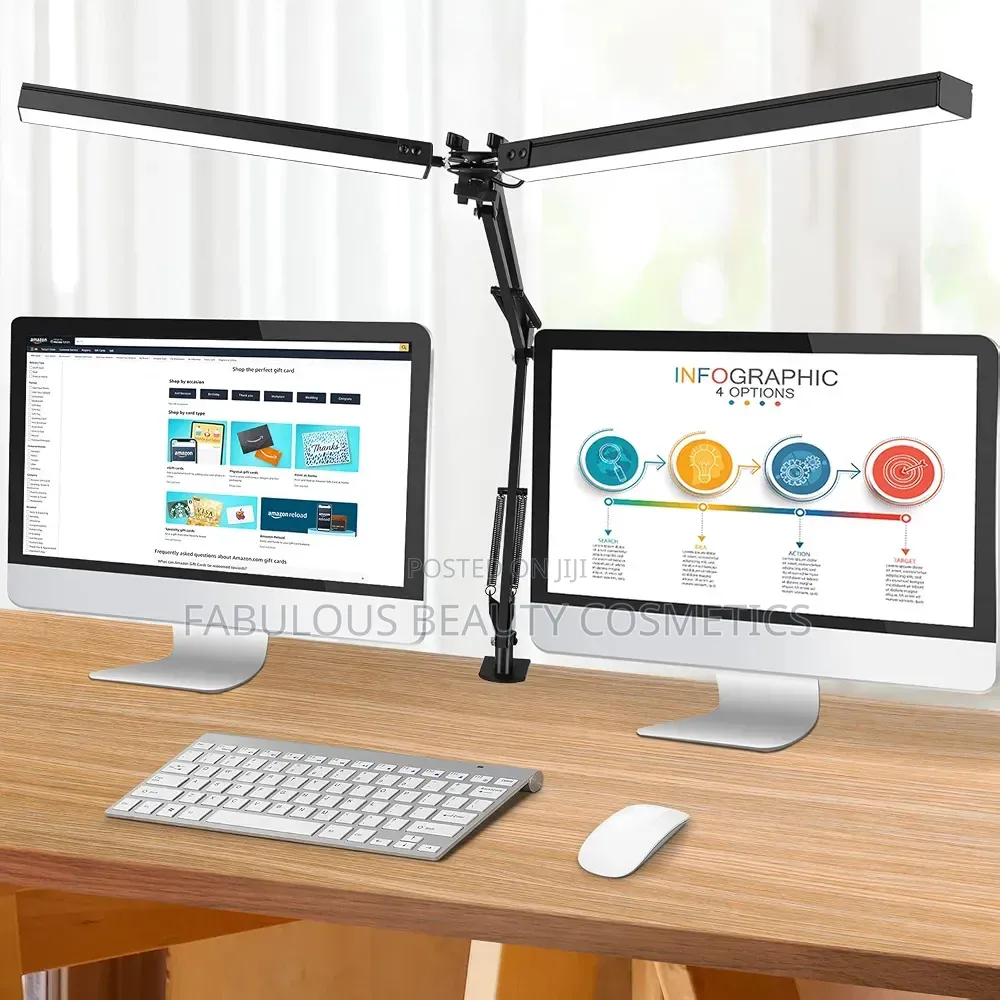 Double Head LED Desk Lamp