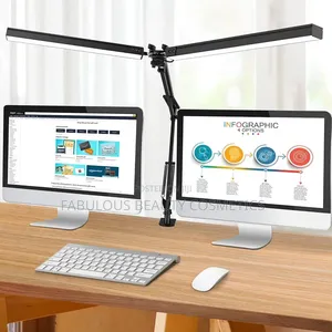 Double Head LED Desk Lamp