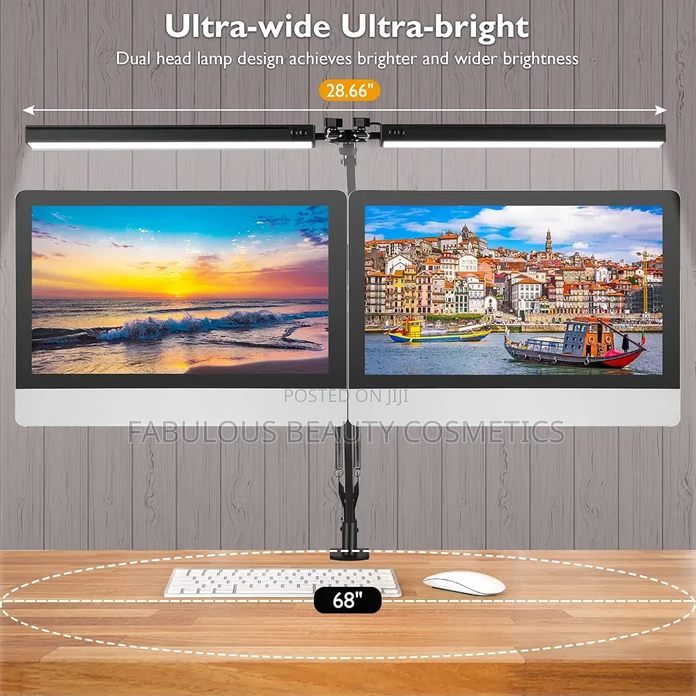 Double Head LED Desk Lamp