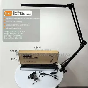 Double Head LED Desk Lamp