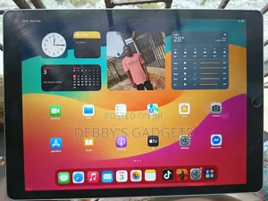 Apple iPad Pro 256 GB Gray