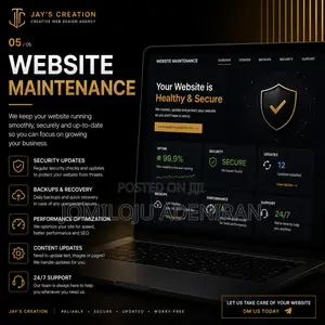 Professional Website