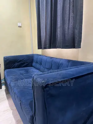 Two Sitter Sofa Couch
