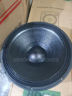 18" Naked Speaker