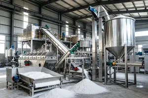 GRIZ CONTROLS Salt Processing and Refining Plant
