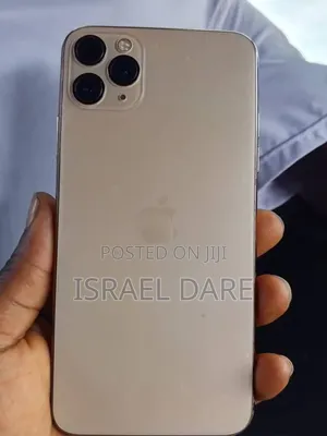 Apple iPhone 11 Pro Max 256 GB Gray