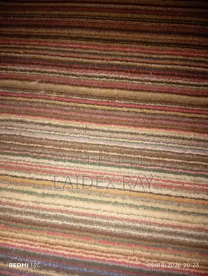 Used Clean Rug