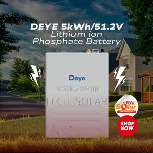 DEYE 5kWh/51.2v Lithium Ion Phosphate Battery