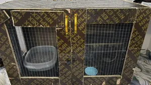 Cat House With Inner Room