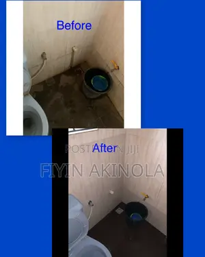 Upholstery Cleaning