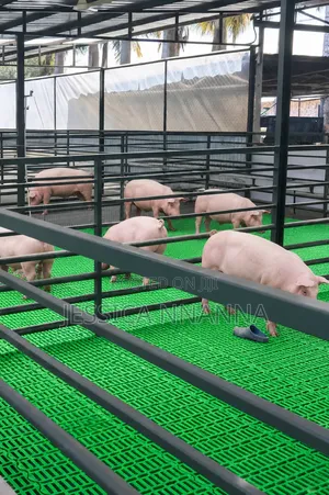 100m by 60m Animal Floor Crate (4packs)