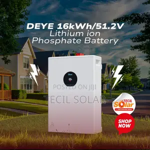 DEYE 16kWh/51.2v Lithium Ion Phosphate Battery