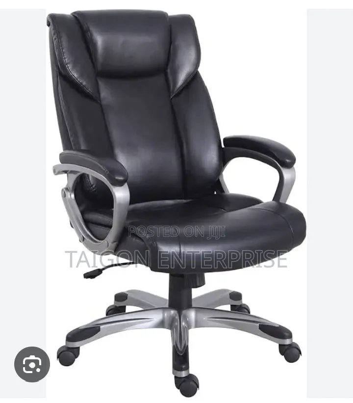 Sturdy Executive Office Chair