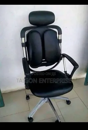 Executive Kidney Office Chair