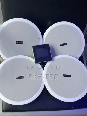 Professional Sky-Tec 4-Pop Ceiling Speaker With 1-Smart Wall Amplifier