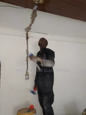 Professional Electrician