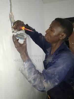 Professional Electrician