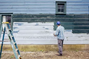 Jemini House and Office Painting and Screeding