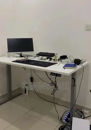 Modern Adjustable Height Electric Standing Desk