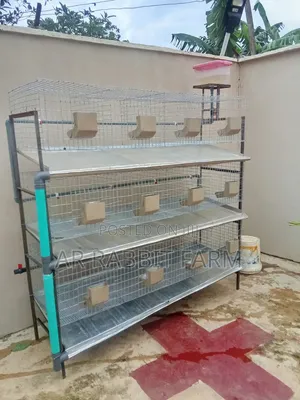 All-Wire Galvanized Cage