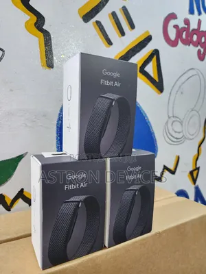 Google Fitbit Air