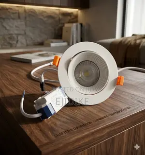 10w 3 Colors Cob Spot Light
